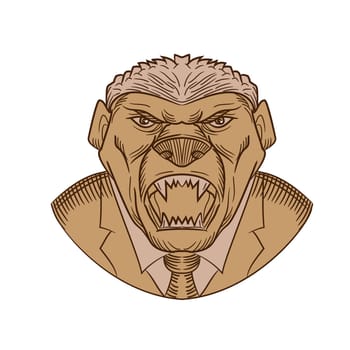 Drawing sketch style illustration head of an aggressive and angry honey badger wearing a coat and tie or business suit baring it's fangs on isolated white background.