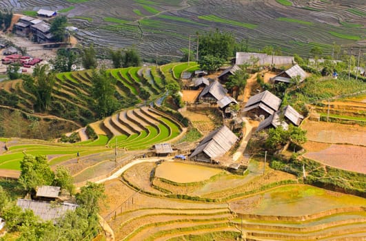 Rice terraced fields in Ta Van village - hill tribe in Sapa, Vietnam