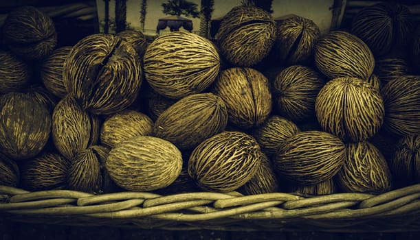 Coconut bulbs in plant market, organic farming