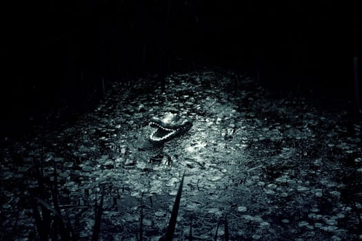 Crocodile in wild amazon lake, predatory animals