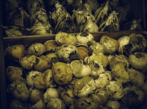 Bulbs in a market, detail of plants and seeds