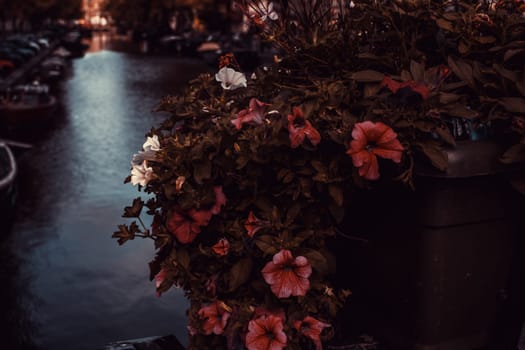 Water channels amsterdam, travel and tourism, landscape
