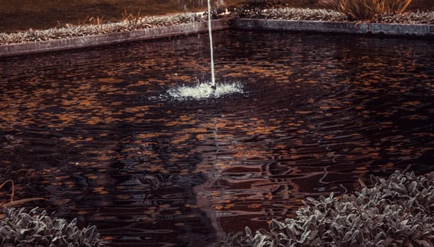 Fountain with water lilies in nature reserve, relax and landscape