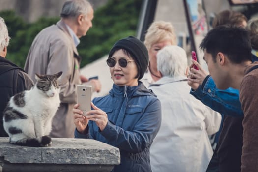 Dubrovnik, Croatia - April 2018 : Chinese tourist taking pictures with her smartphone of a cat sitting on a bridge in front of the entrance gates to the Dubrovnik Old Town