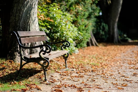 Bench in a cemetery park in autumn - on the right a stone cross in the background