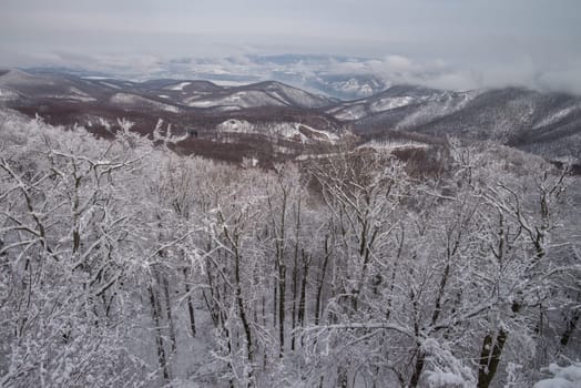 Mountains covered by white snow
