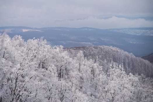 Mountains covered by snow