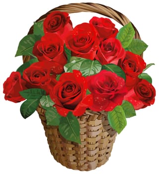 roses basket red valentine love flower pretty illustration