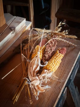 Dried corn on the cob lying on a wood table.