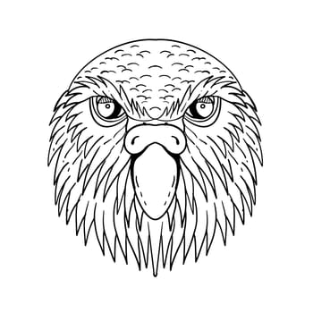 Drawing sketch style illustration of head of kakapo, night parrot or owl parrot, a species of flightless, nocturnal, ground-dwelling parrot endemic to New Zealand done in black and white.