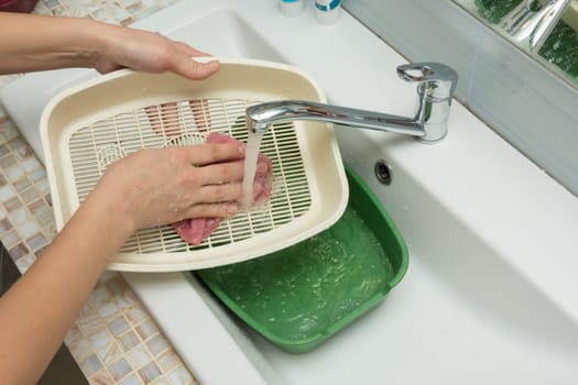 The girl washes the cat tray in the sink