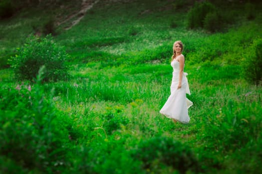 beautiful bride against the backdrop of the mountain and grass.