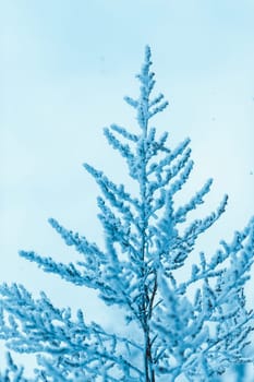 branches in the snow during the day.