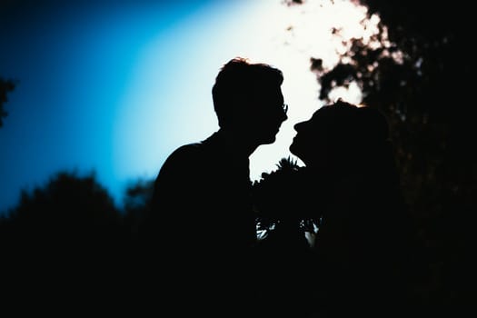 bride and groom silhouettes on the background of the sky park.