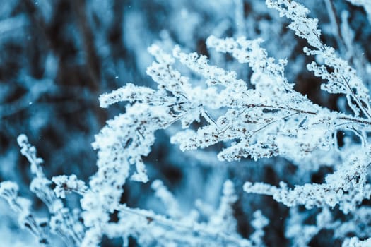 branches in the snow during the day.