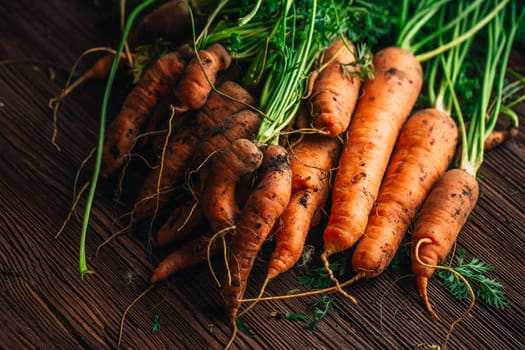 Fresh carrots from the garden close-up on a wooden background.