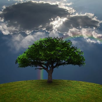 Green Tree. Dramatic clouds and rainbow. 3D rendering.