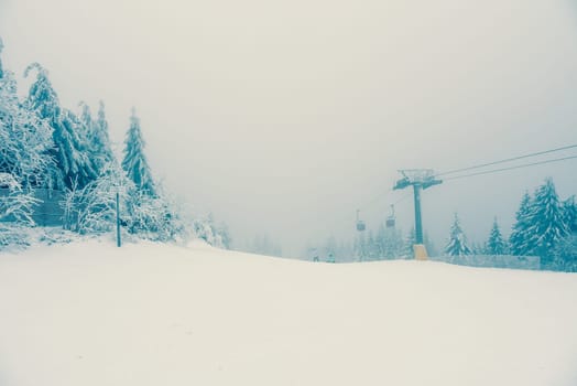 a snowy forest in winter with lots of snow.