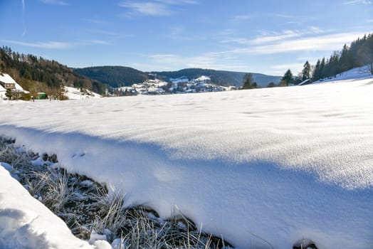 a snowy forest in winter with lots of snow.