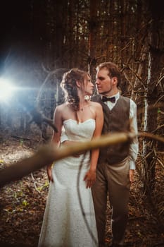 bride and groom in the forest of firs.