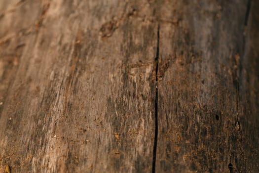 colored dark wood fiber texture close up