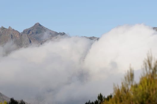 Pico