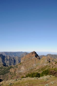 Pico