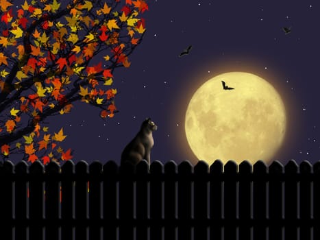 Magic halloween night with moon and a cat