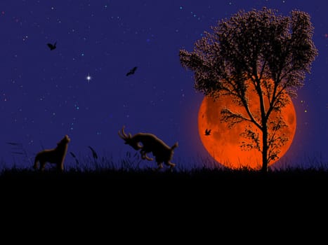Magic halloween night scene