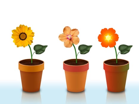 A flower vases collection with different colors