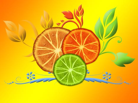 Citrus slices on the orange background