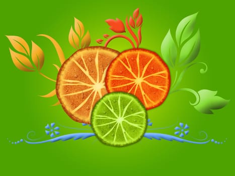 Citrus slices on the green background