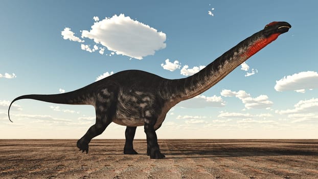 Apatosaurus dinosaur standing in the desert - 3D render