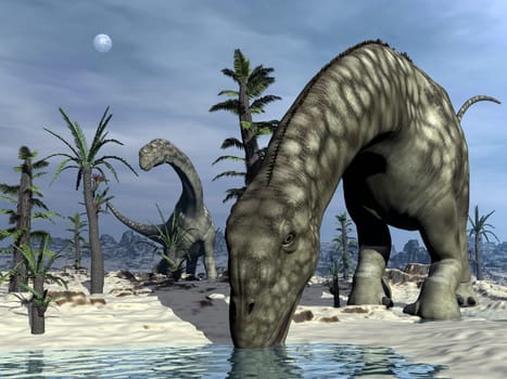 Argentinosaurus dinosaurs in the desert with tempskya and williamsonia plants - 3D render