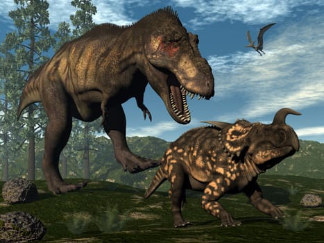 Tyrannosaurus rex attacking einiosaurus dinosaur among onychiopsis and wollemia pine trees - 3D render