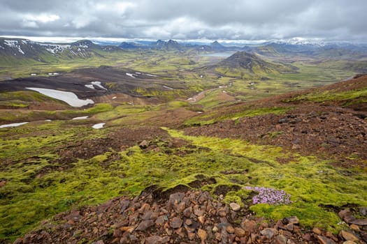 Scenic nature landscape of Landmannalaugar in Iceland during Laugavegur trek. Green Nordic summer on hiking trail.