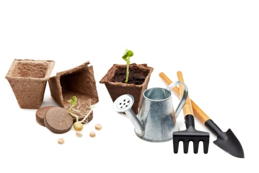 Still life with gardening tools, peat tablets and pots and young seedlings isolated on a white background. Concept of spring gardening, Vegetable growing.
