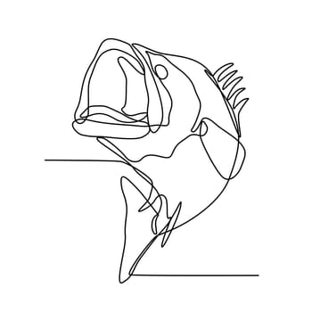 Continuous line illustration of largemouth bass, freshwater gamefish that is a species of black bass native to North America, jumping up done in black and white monoline style.