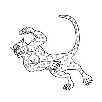 Cartoon style illustration of a cheetah running, tripping and then falling down done in black and white on isolated background.