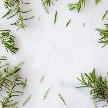 Rosemary sprigs on marble surface with copy space