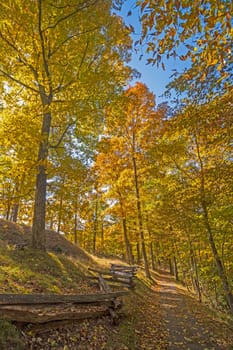 Quiet Mountain Trail in the Fall in Cumberland Gap National Park in Kentucky