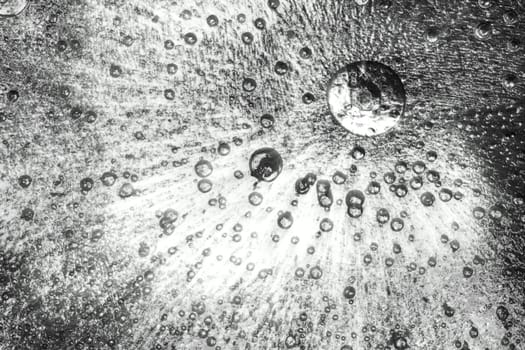 Frozen ice crystals with beautiful black and white. Large and small trapped air bubbles all across the ice.