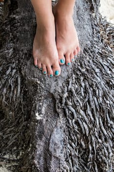 Female feet on the root of the tree