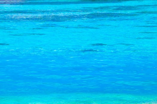 Blue sea background