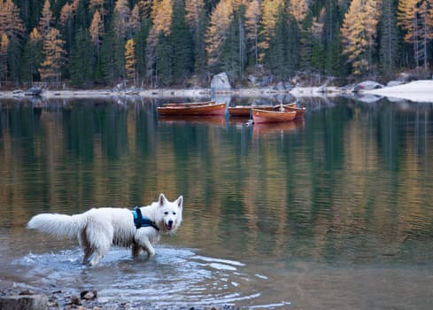 lago di Braies in Dolomites mountains, Sudtirol, Italy