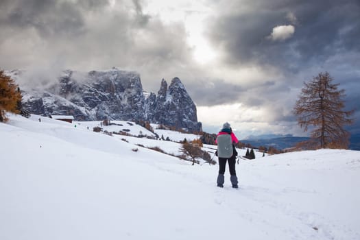 snowy early winter landscape in Alpe di Siusi.  Dolomites,  Italy - winter holidays destination