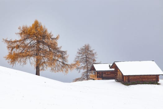snowy early winter landscape in Alpe di Siusi.  Dolomites,  Italy - winter holidays destination