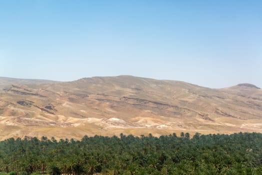 Oasis at Tamerza in the Sahara Desert in Tunisia