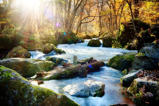 The Oirase Gorge beautiful river druing the autumn season, Japan