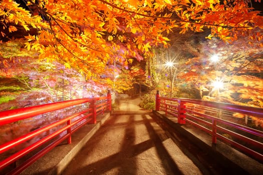 The Oirase Gorge beautiful river druing the autumn season, Japan